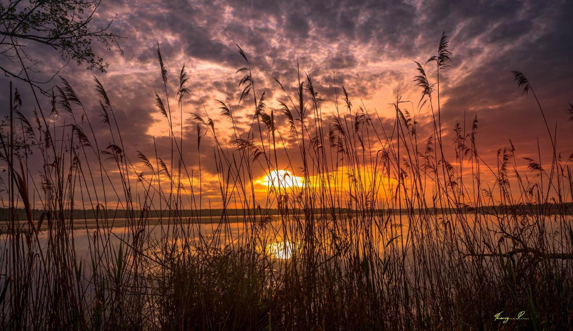 Vk Lake Aureilhan  Екстериор снимка